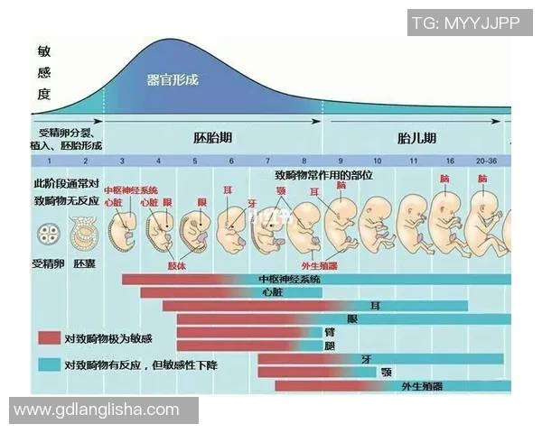 俄罗足球明星之前的辉煌岁月与成长历程揭秘 俄罗足球明星之前的辉煌岁月与成长历程揭秘
